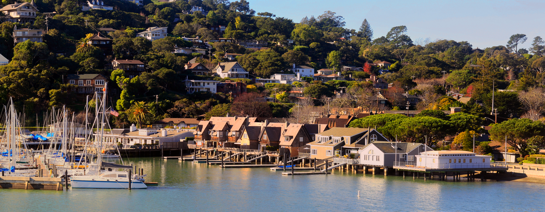 Waterside photo of Belvedere in Marin County for Bay Leaves local cannabis delivery service